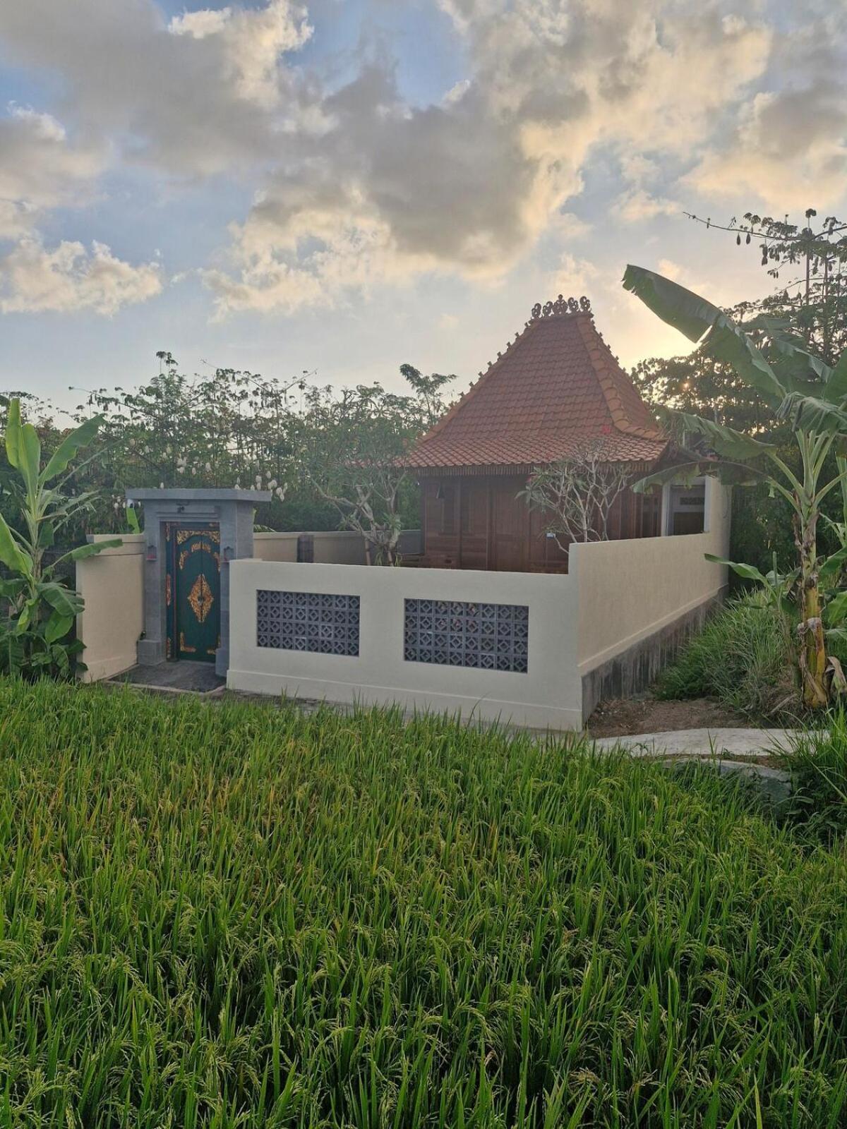 1Br Mayflower Ubud Villa W Pool & Ricefield View Екстер'єр фото